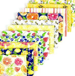 Sweet and Sour Half Yard Bundle by Elena Fay for Paintbrush Studios