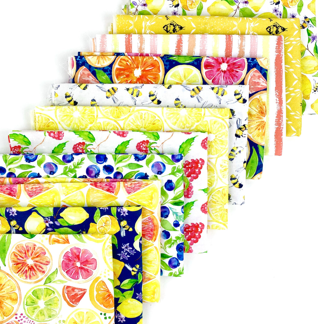 Sweet and Sour One Yard Bundle by Elena Fay for Paintbrush Studios