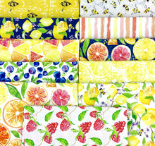 Load image into Gallery viewer, Sweet and Sour Fat Quarter Bundle by Elena Fay for Paintbrush Studios