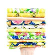Load image into Gallery viewer, Sweet and Sour Fat Quarter Bundle by Elena Fay for Paintbrush Studios